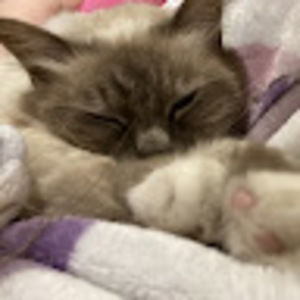 Meet your Posher, Marisa